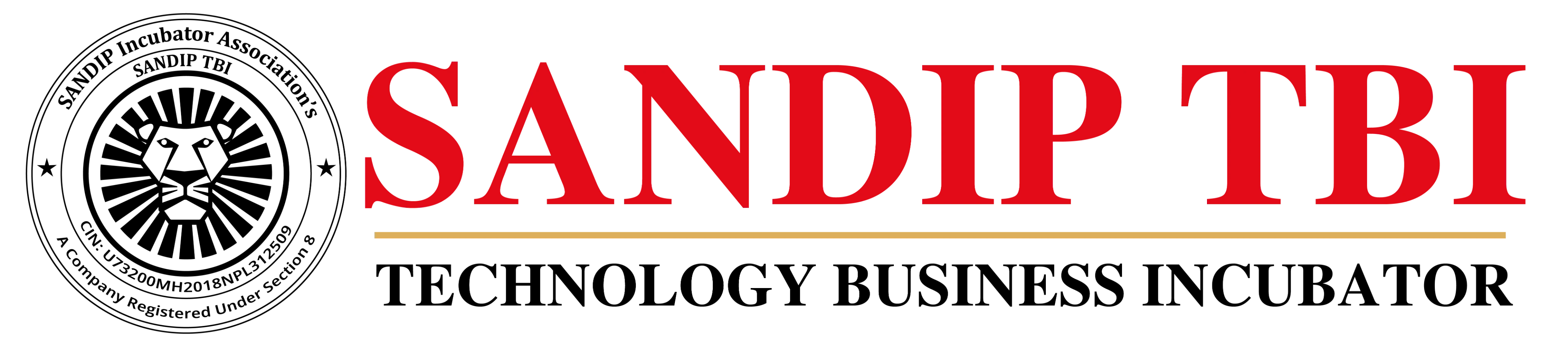 Sandip TBI